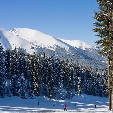 Skiing, Walking, Enjoying In Mountains Bansko Exteriör bild