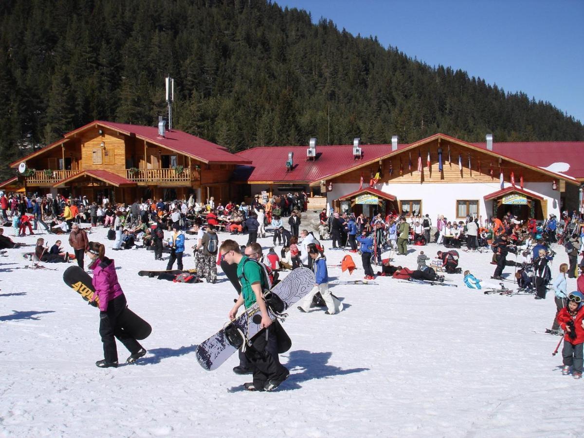 Skiing, Walking, Enjoying In Mountains Bansko Exteriör bild