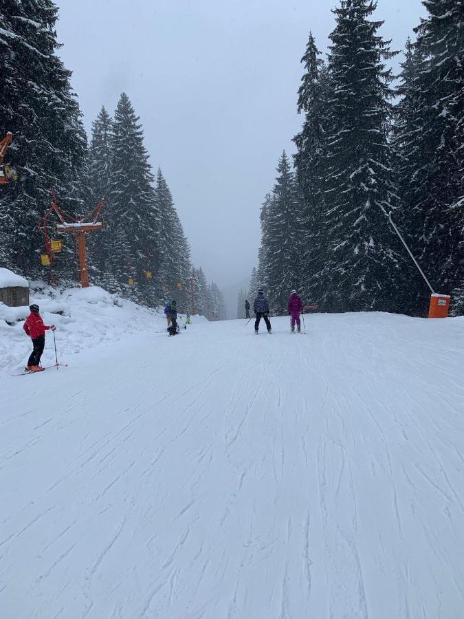 Skiing, Walking, Enjoying In Mountains Bansko Exteriör bild