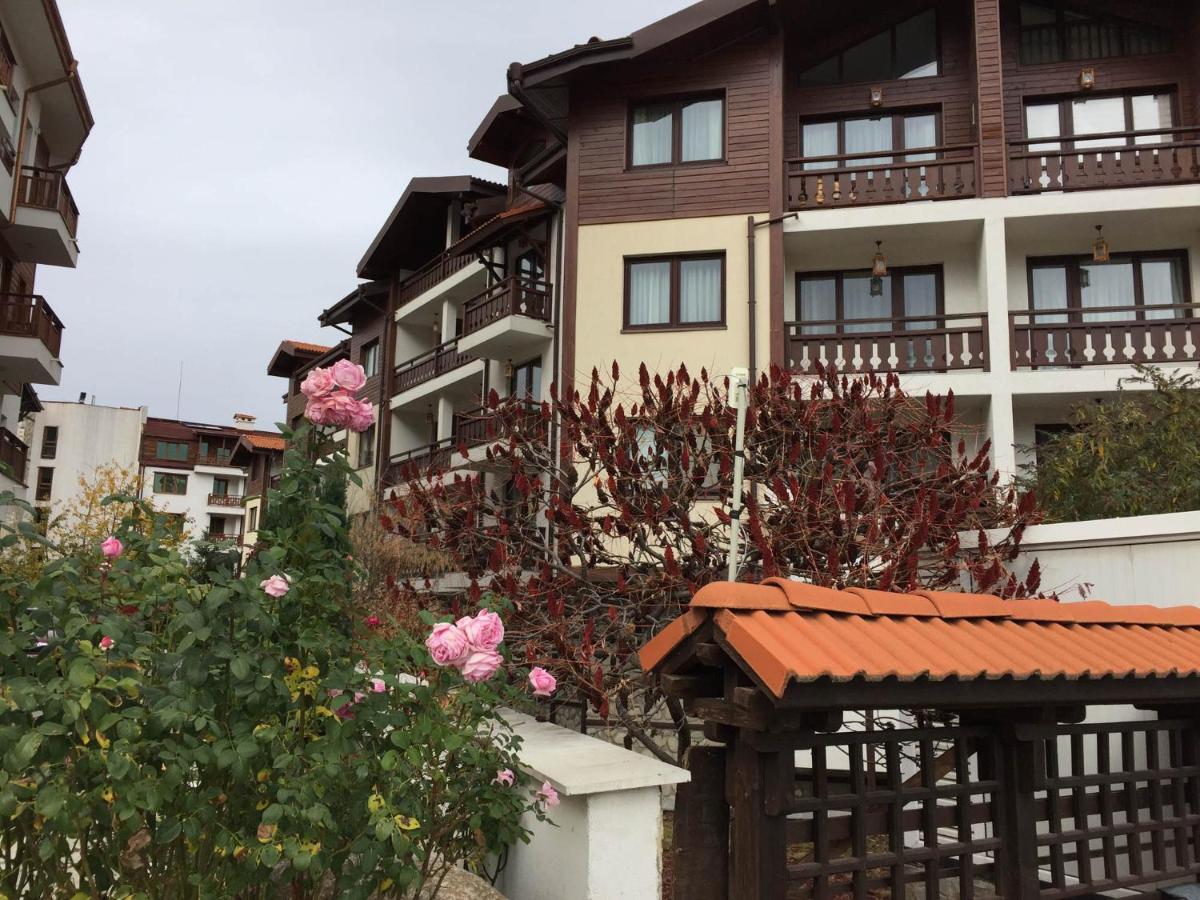 Skiing, Walking, Enjoying In Mountains Bansko Exteriör bild