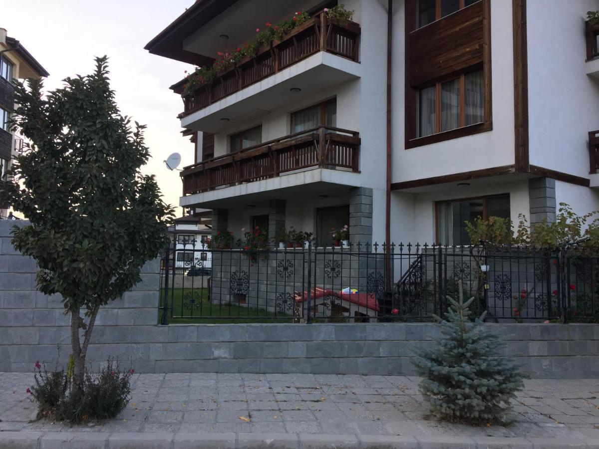 Skiing, Walking, Enjoying In Mountains Bansko Exteriör bild